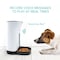 Arf Pets Automatic Pet Feeder Food Dispenser with Timer - Up to 4 Meals a Day APAFNEW2 - alternate 2